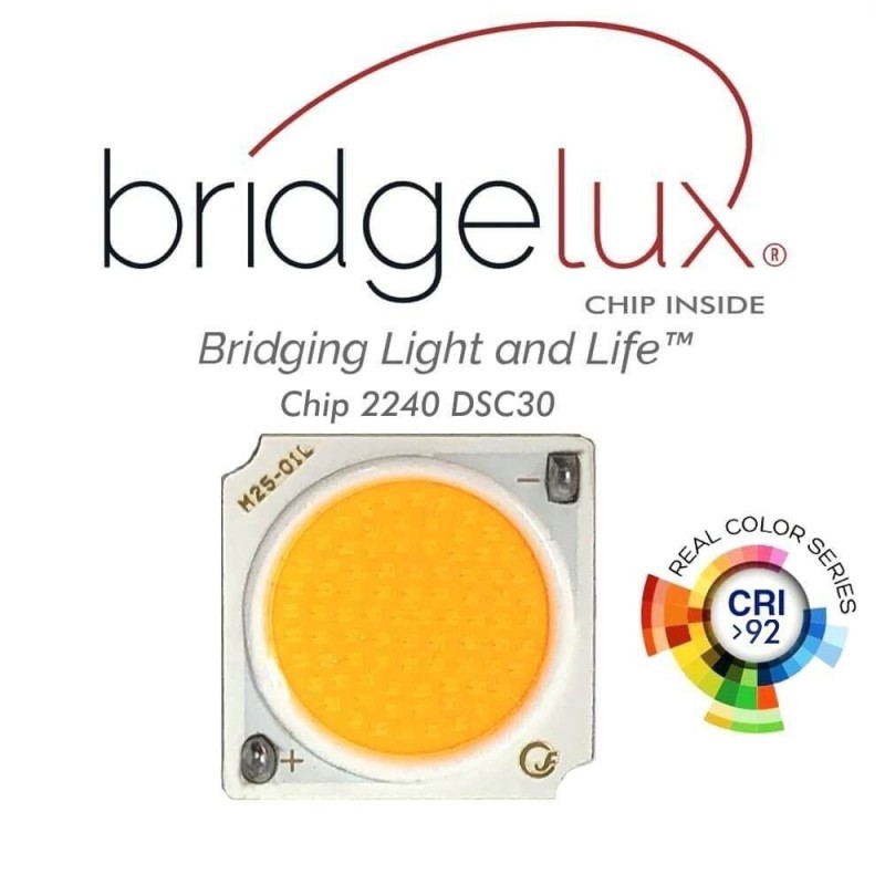 Faretto LED binario monofase 30W BridgeLux CCT Selezionabile 48º3900Lm bianco