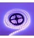 Ruban LED 12V 14.4W UV violet SMD5050 5 mètres