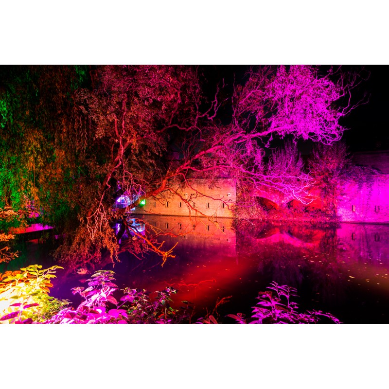 Projecteur LED PRO 10W RGB extérieur IP65