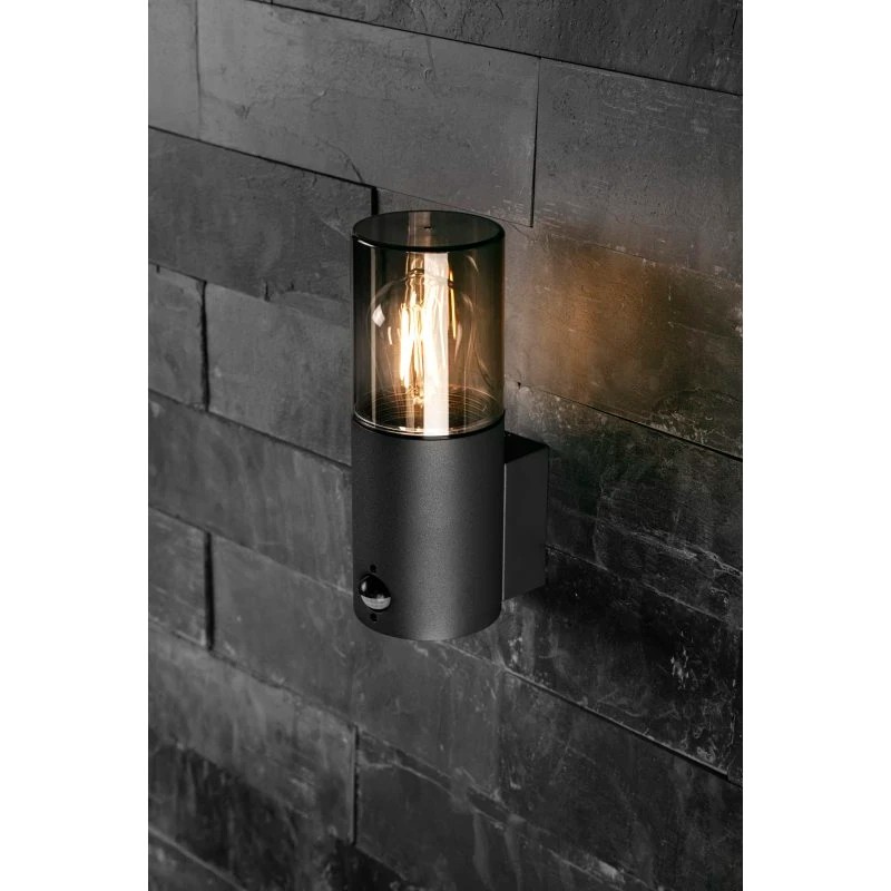 Ampoule LED SMOKE FILAMENT 6W E27 Edison ST64 Fumé