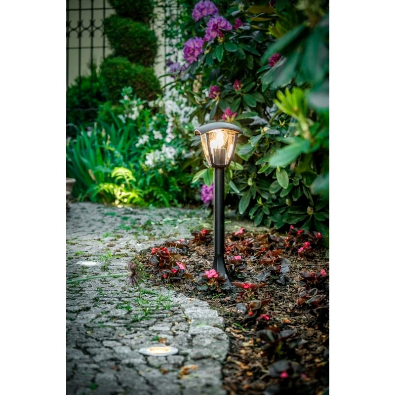 Bombilla LED GLASS FILAMENT 8W E27 A60 transparente