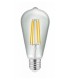 Lampadina LED GLASS FILAMENT 6W E27 Edison ST64 Transparente