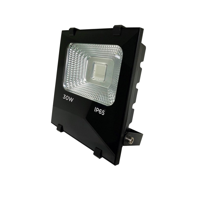 Proiettore LED PRO RGB 30W IP65