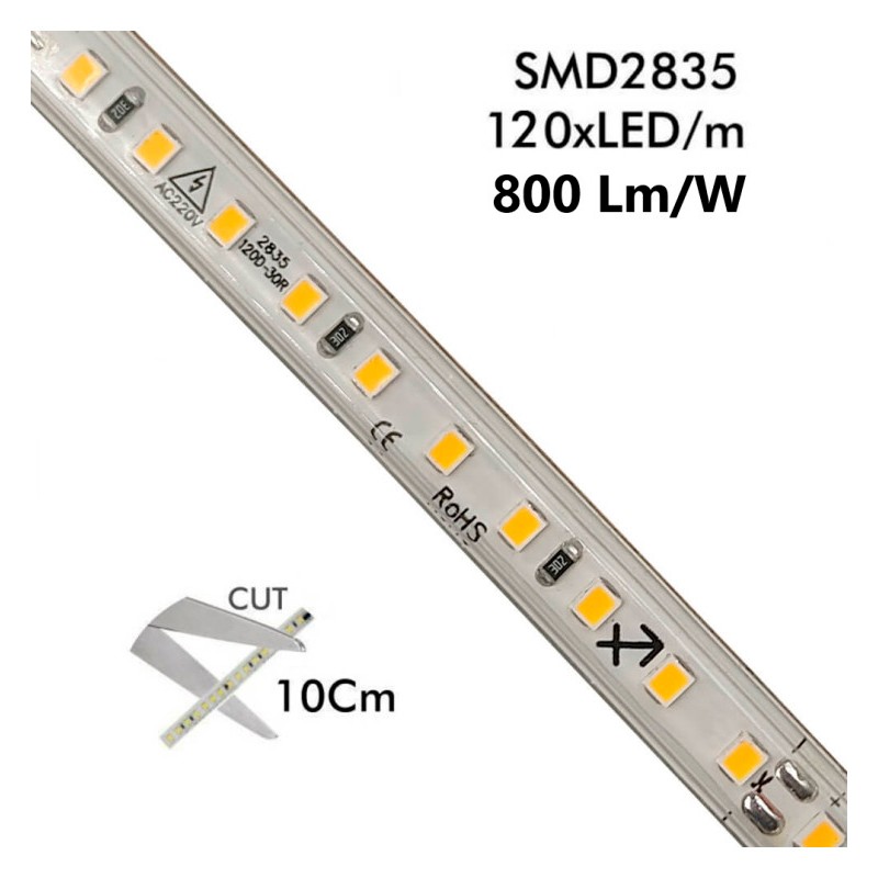 Ruban LED SMD 230V 8W 120LED/m 800Lm IP65