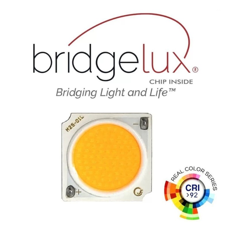 Faretto LED binario monofase 30W BridgeLux CCT Selezionabile 48º3900Lm nero