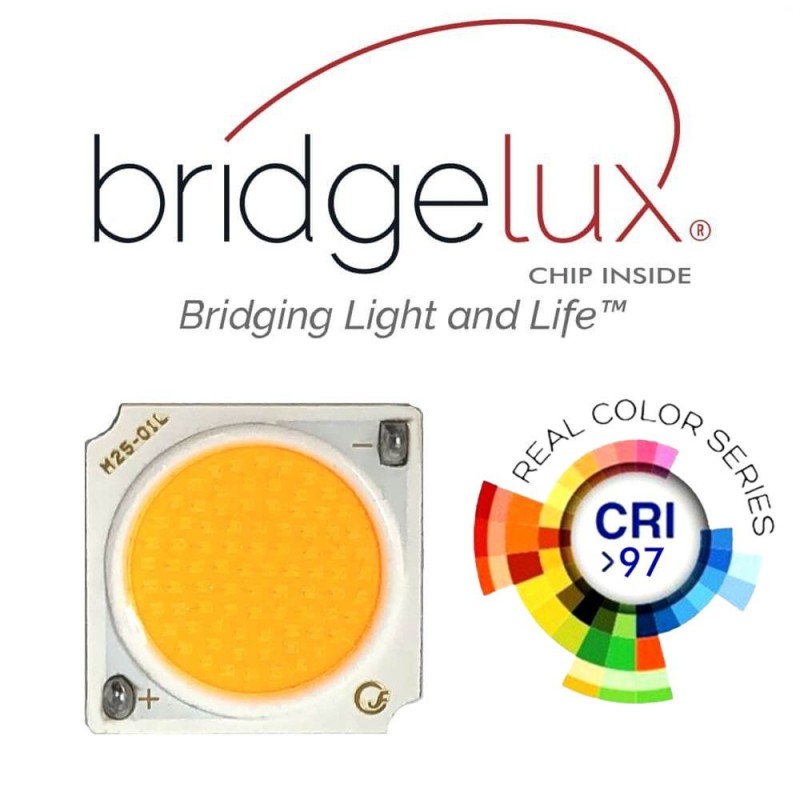 Spot LED rail triphasé 28-34W puce Bridgelux Driver PHILIPS 3000Lm