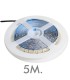 Ruban LED IP20 24V 20W/m 240LED/m SMD2835 2200Lm