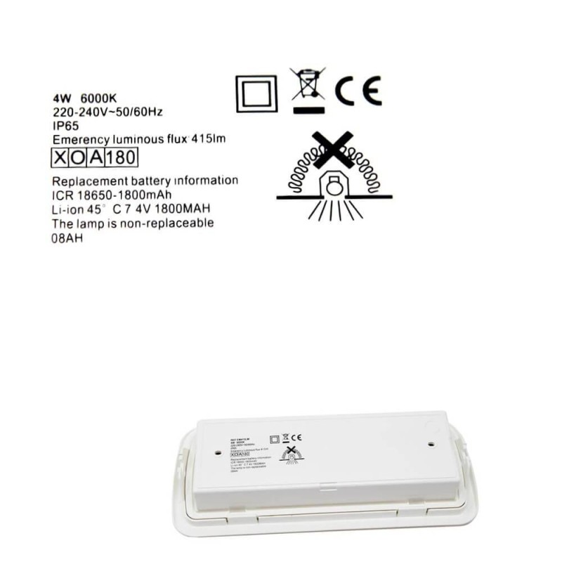 Luz de emergencia LED 4W 415Lm / Kit Techo / Opción Permanente / IP65