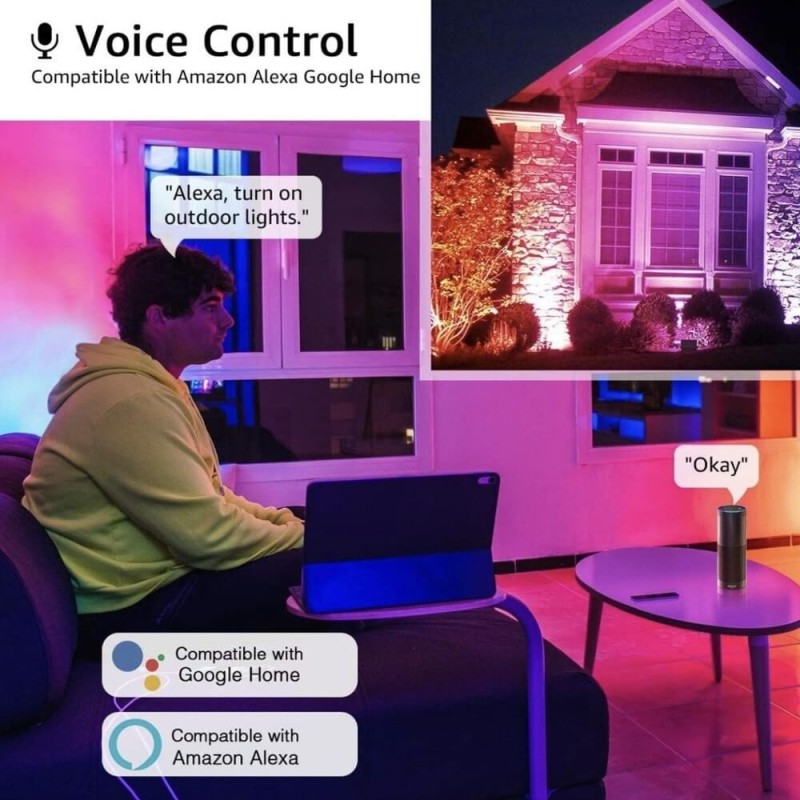 Proyector LED RGB+CCT 30W Smart WIFI TUYA IP65