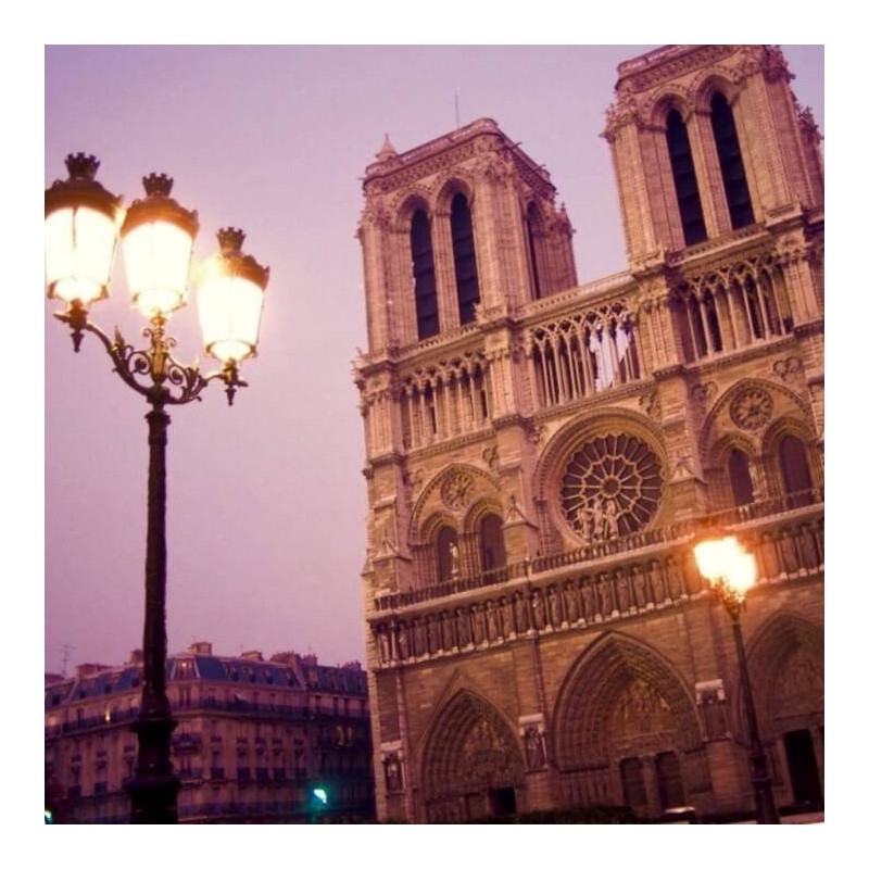 Módulo Optico LED 40W BRIDGELUX para Farola